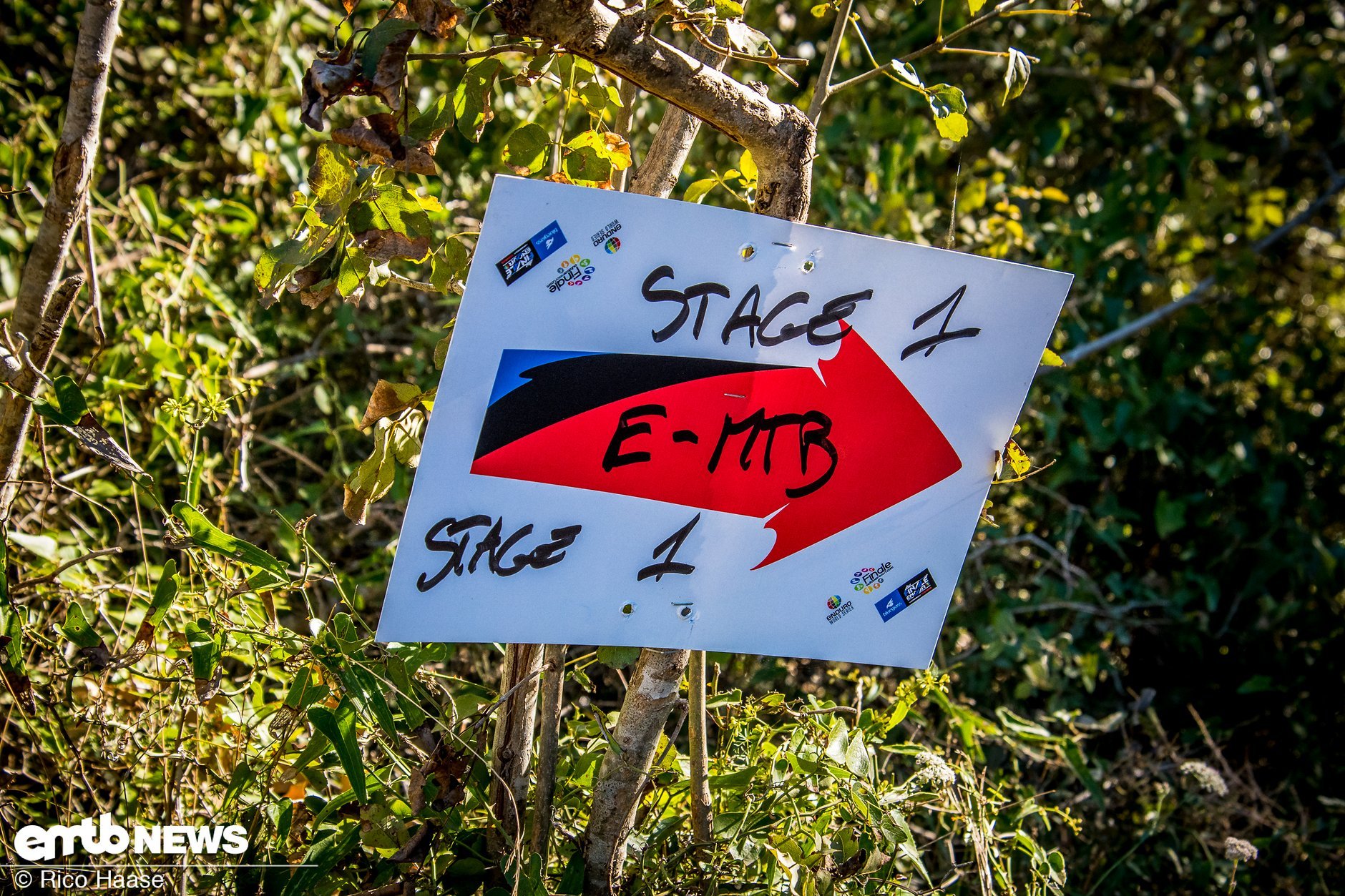 ERacing 2020 Informationen über die Rennserien