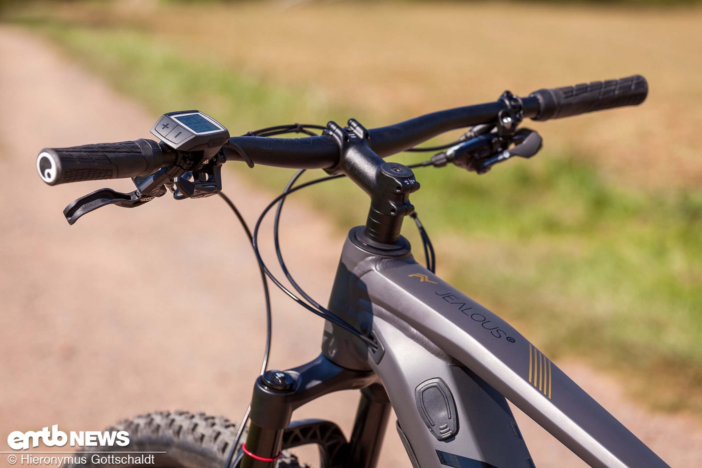 Radon Jealous AL Hybrid 9.0 im Test Ein vollständiges EHardtail zum Ballern und mehr eMTB