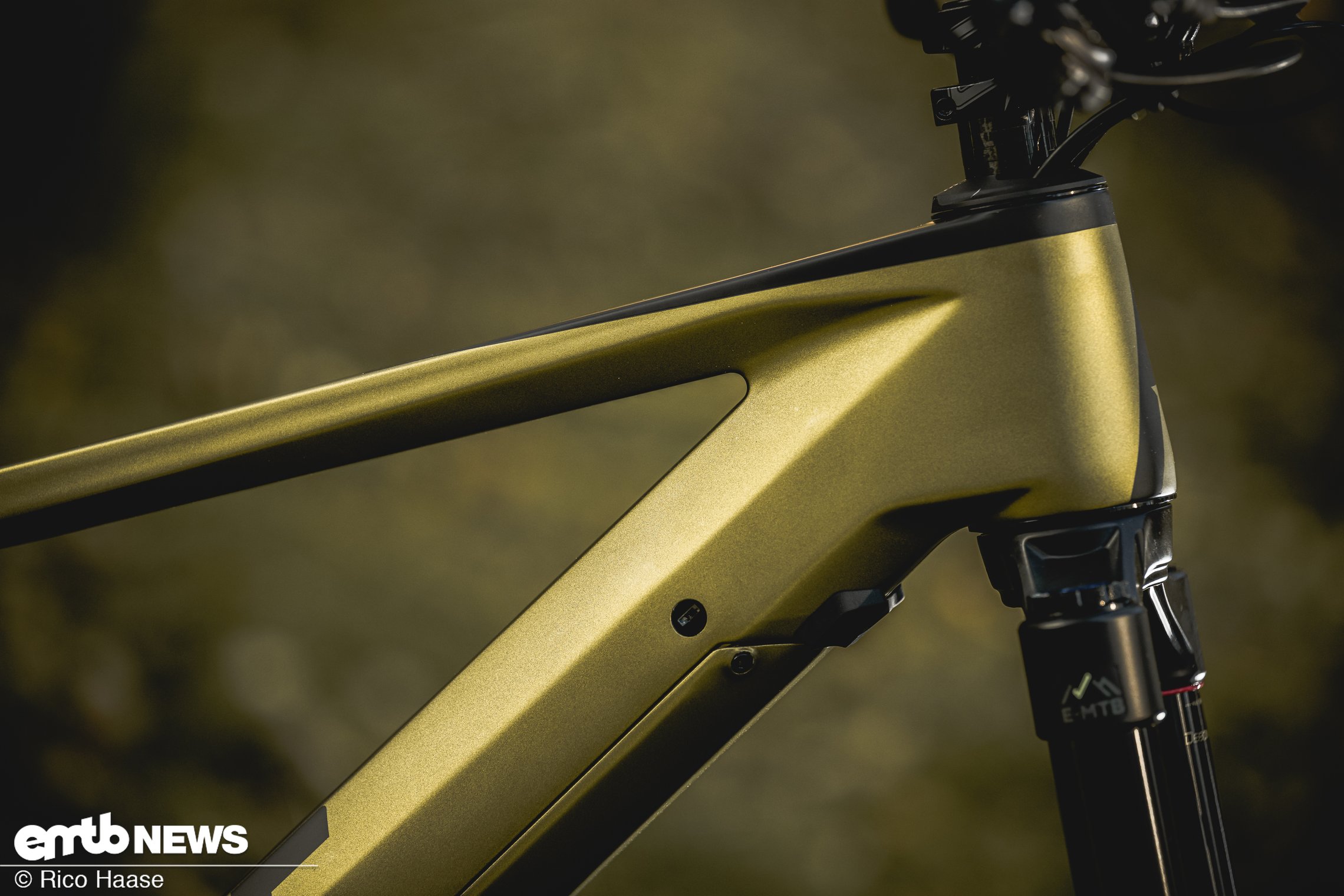 Rose E Mtb