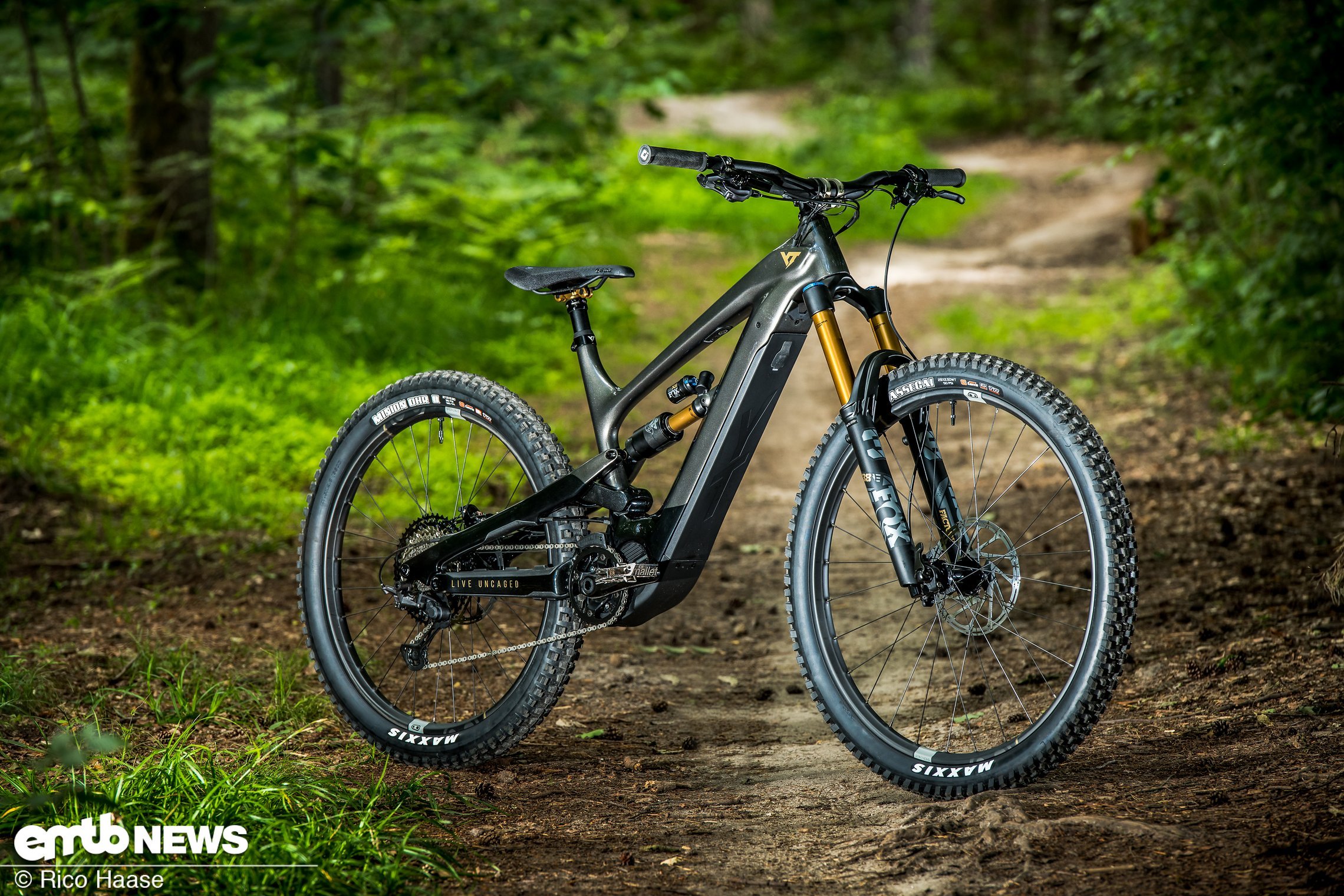 YT Decoy Elite im Test SuperEnduro oder EliteSänfte? eMTBNews.de