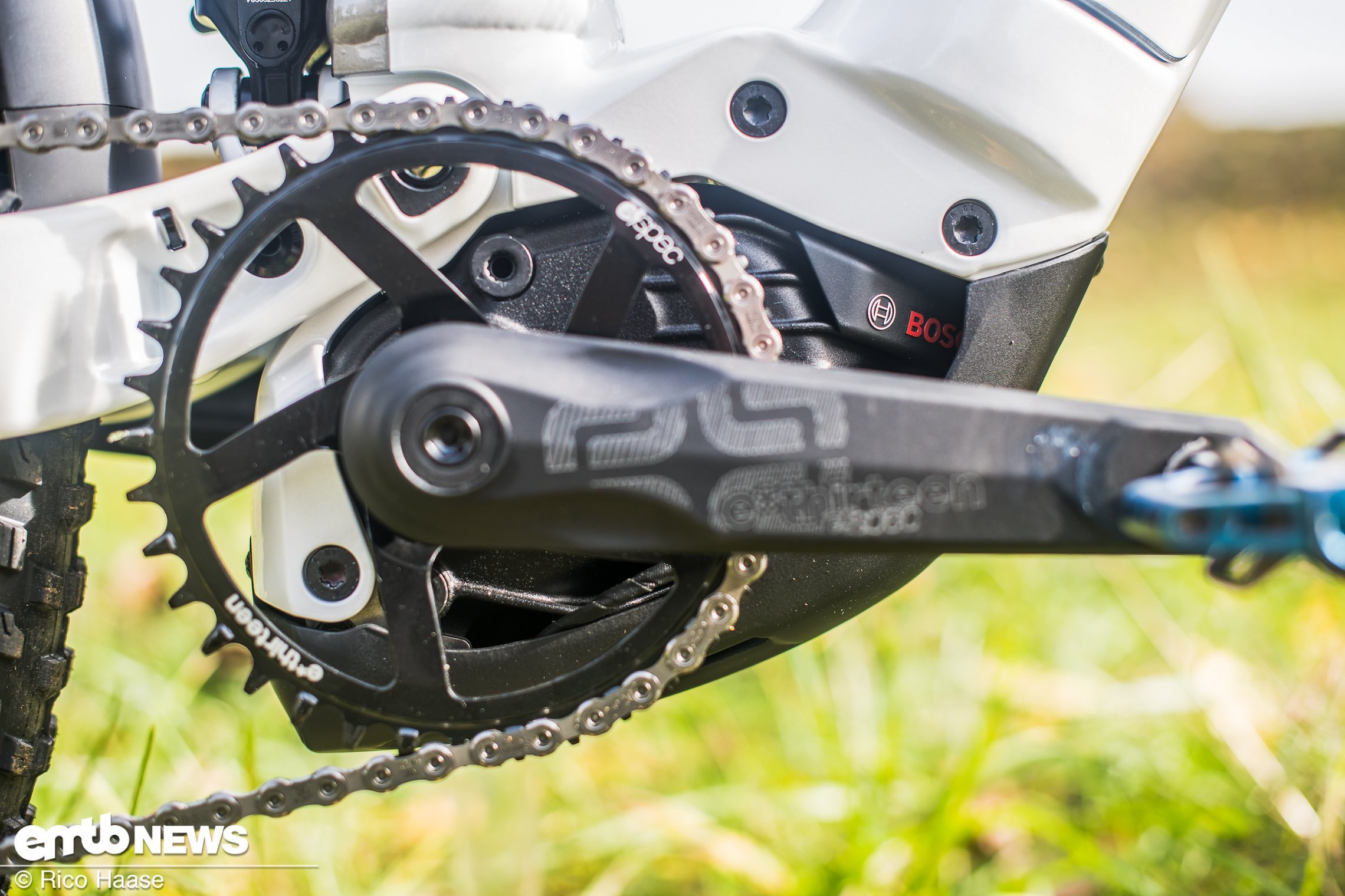 internal gear hub bikes