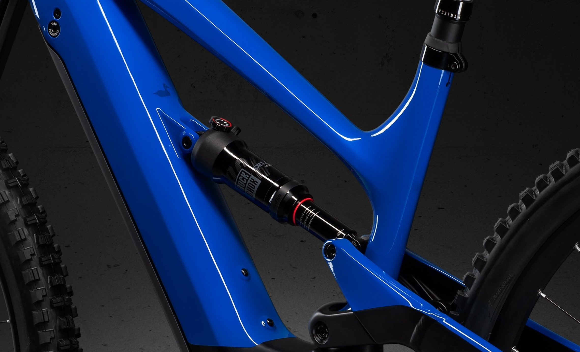 YT Decoy 29 Erster Test der perfekte Allrounder von YT?