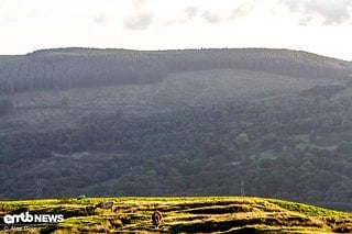 Bikepark Wales