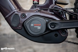 Der Bosch CX-Motor liefert bis zu 100 Nm Drehmoment und wird von einem 600 Wh-Akku mit Energie versorgt.