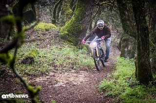 Härteres Terrain empfehlen wir mit dem Vintage Electric Scrambler nicht.