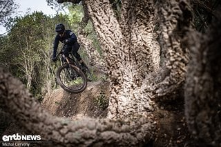 Gregor, unser rasender Ingenieur, fühlt sich auf jedem Trail der nördlichen Halbkugel wohl und freut sich auf so ziemlich jeden Testride.