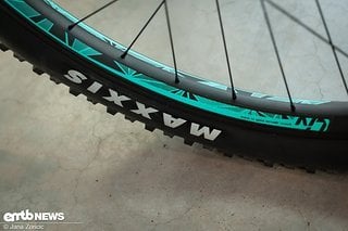 Giant eMTB News (42 von 45)