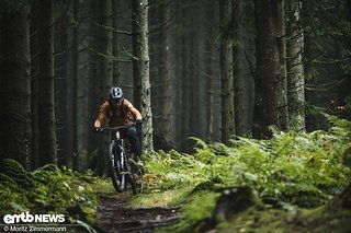 Beeindruckt hat vor allem das gut abgestimmte Fahrwerk, das einen sehr guten Kompromiss aus Kontrolle und geringer Ermüdung bereitstellt.