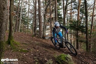 Spielerisch lässt sich das Giant auf dem Trail in die Kurve setzen.