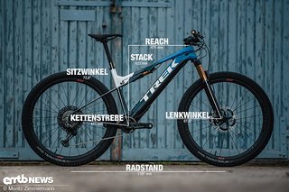 Trek E-Caliber mit Geometriedaten in Rahmengröße L