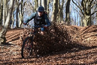 Laubmengen der Oberklasse