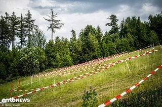 Wer in die Sektion „The Snake“ einbog, der sah vor lauter Flatterband den Wald nicht mehr