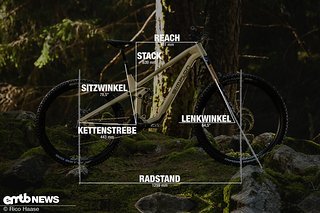 Simplon Rapcon :eTQ Geometrieangaben Rahmengröße L