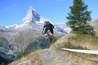 Ob Gusti Zeit hatte, den Ausblick zu genießen?