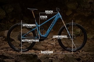 Pivot Shuttle AM mit Geometrieangaben in Rahmengröße L