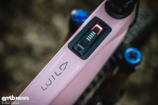 Orbea Wild Fast Forward Team 2025 Bikecheck DSC 2934 Orbea Wild Fast Forward Team 2025 Bikecheck DSC 2934