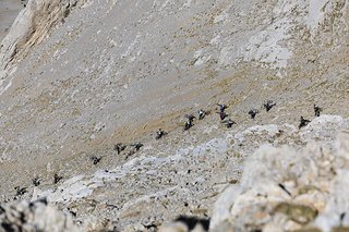 Alle Teilnehmerinnen und Teilnehmer hatten ihre Mühen, den Hang zu erklimmen, aber alle kamen oben an. Alle Teilnehmerinnen und Teilnehmer hatten ihre Mühen, den Hang zu erklimmen, aber alle kamen oben an.