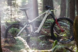 Der eigentliche, 630 Wh fassende Akku ist perfekt in den Rahmen integriert und gibt dem Bike einen cleanen Look