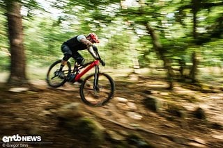 Highspeedpassagen mag dieses E-All-Mountain weniger, aber wenn es etwas langsamer geht, dann bezwingen wir jeden Downhill