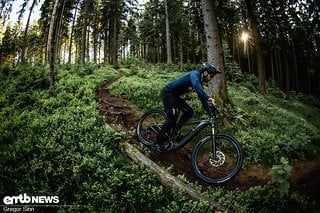 Auf sanften Trails ist das Giant Reign E+ 0 spürbar unterfordert