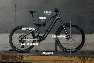 M1 AM.600.SX mit Geometrieangaben in Rahmengröße L.