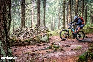 Wastl stylt den Trail hinunter