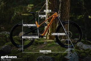 Canyon Spectral:ONfly Geometrieangaben Rahmengröße M Canyon Spectral:ONfly Geometrieangaben Rahmengröße M