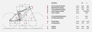 Geometriedaten des Rotwild R.G+ FS Evo