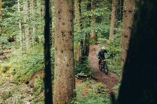 Bikepark Oberammergau: ein wildromantischer bayrischer Wald und viele glitschige Wurzeln.