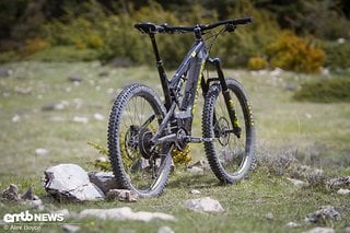 Rocky Mountain Altitude Powerplay Carbon 70 in der Heck-Ansicht