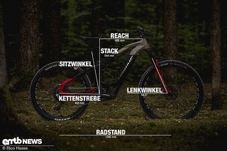 Haibike AllMtn CF SE mit Geometrieangaben in Rahmengröße L