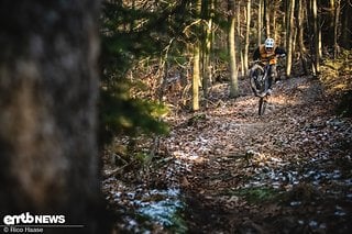 Auch in Vollgas-Sektionen lässt sich das Haibike Hybe sehr gut bewegen,