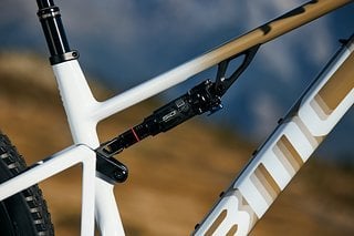 Am Heck sorgt ein RockShox-Dämpfer für die passende Traktion