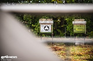 Auf dem Dach der Firmenzentrale in Ottobrunn wohnt ein Bienenvolk.