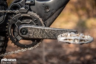 Die schicke Carbon-Kurbel macht einiges her.