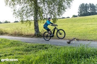 Explosiv den Lenker nach vorne schubsen, die Arme strecken sich – das Vorderrad kommt hoch!