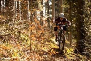 Mit 150 mm Federweg an Front und Heck kann man auf dem Trail auch einfach einmal die direkte Linie mit Flugeinlage nehmen.