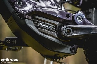 Im YT Decoy MX Uncaged 9 werkelt ein Shimano EP8-Motor.