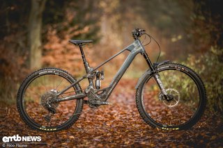 Forbidden Druid CorE 1