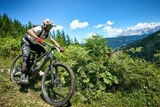 Ob die wohl Zeit für die Aussicht hatten?