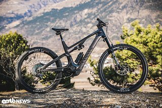 Betroffen sind sämtliche Modelle der Serie: Canyon Spectral:ON und ...