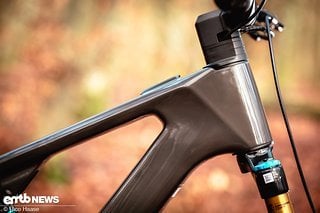 Der leichte Carbonrahmen weist diverse Designelemente auf, die typisch für aktuelle Bikes von Focus sind.