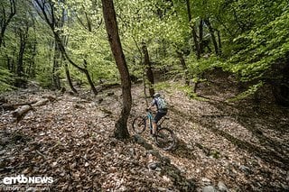 Die Trails waren teilweise mit sehr viel Laub bedeckt – Indiz dafür, dass bis dato kaum Biker hier waren