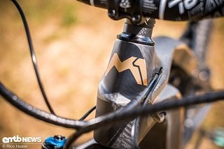 Das matte Finish verleiht diesem E-MTB einen besonderen Touch