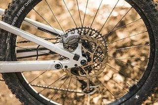 Die Kettenstreben wachsen zwischen Rahmengröße S und M um 3 mm auf ganze 455 mm. Die Kettenstreben wachsen zwischen Rahmengröße S und M um 3 mm auf ganze 455 mm.