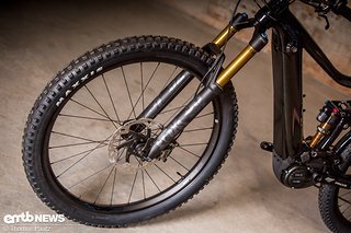 emtb giant e-trance 2019  (7 von 16)