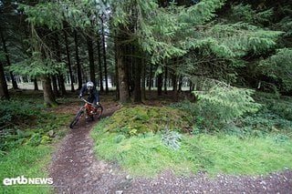 Am wohlsten fühlt sich das Orange Alpine 6 E LE auf anspruchsvollen Trails im Wald, wo es sein Potenzial nutzen kann.