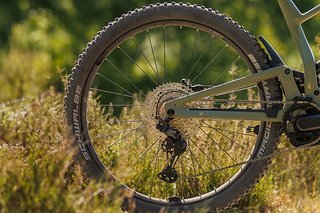 Die Kettenstreben des 4-Link-Swingarm Alu-Hinterbaus wachsen leider nicht mit der Rahmengröße mit. Die Kettenstreben des 4-Link-Swingarm Alu-Hinterbaus wachsen leider nicht mit der Rahmengröße mit.