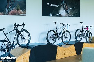 Überall Fahrräder mit Geschichte – hin und wieder mischt sich auch ein Mitarbeiterrad unter die Menge an Fahrrädern im Hauptquartier.