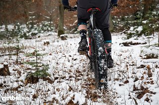 Mit dem Cube Nutrail Hybrid 500 braucht man im Wald keine ausgezeichneten Pfade